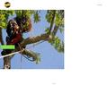 259693 : Abattage d'arbre -  Elagueur grimpeur pour élagage